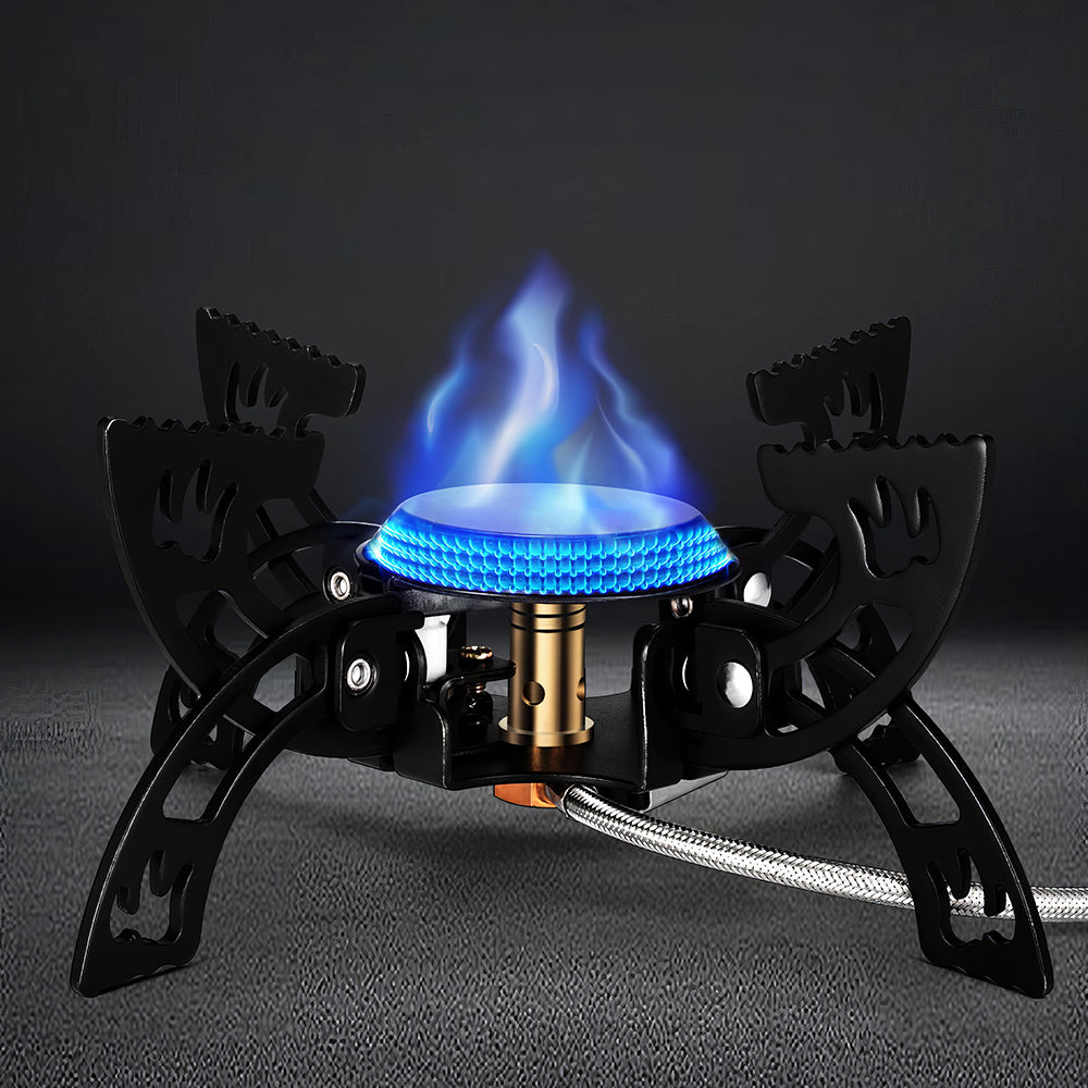 3800W Portable Gas Camping Stove with Case for Hiking and Cooking