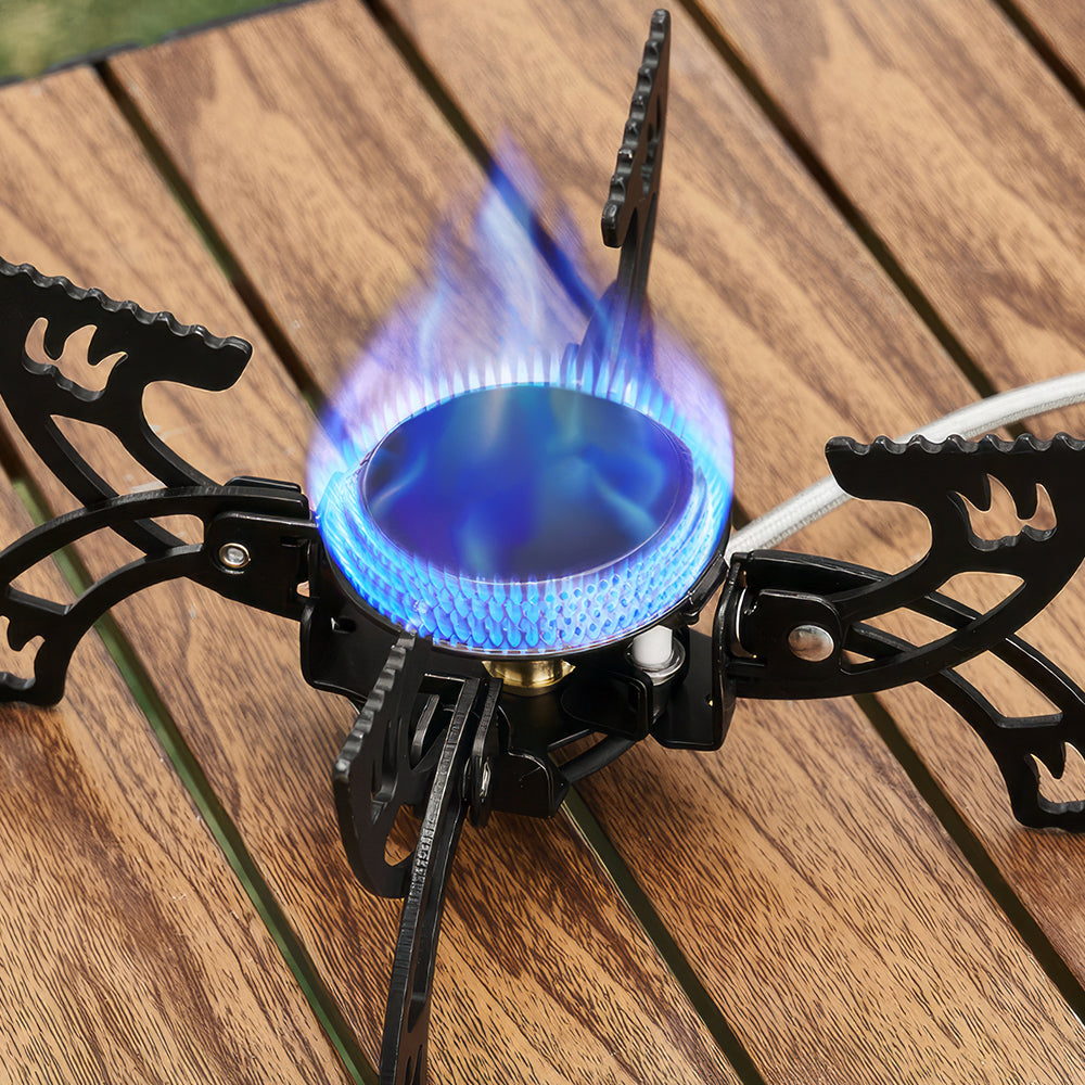 3800W Portable Gas Camping Stove with Case for Hiking and Cooking